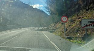 Un arbre caigut a la carretera N-260, aquest matí