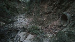 Un dels tubs detectats per IAEDEN que asseguren aboquen purins al curs fluvial