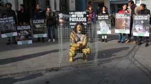 activista, gàbia, figueres