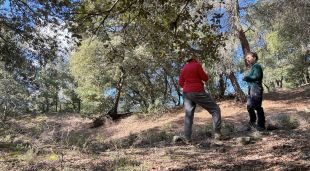 La Clara Blasco, d'Eixarcolant, i la Montse Blanch, propietària forestal, passegen per la finca on es farà l'actuació amb les alzines