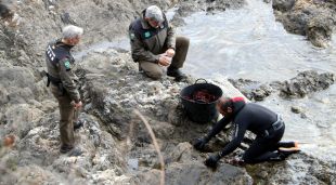 Els rurals fent un control de pesca de garotes