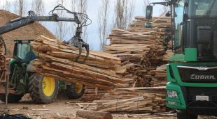 La fusta arribant a la trituradora de l'empresa Alameda Torrent
