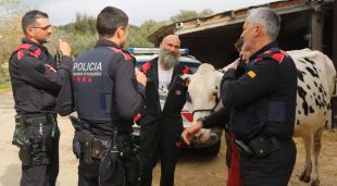 Els Mossos de proximitat visitant una granja juntament amb l'alcalde de Parlavà, Quim Sabrià