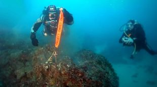 Dos submarinistes durant una operació per extreure una xarxa de pesca fantasma al fons marí