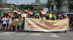 La protesta de l'escola Camins