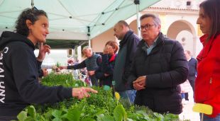 Una de les parades del Mercat de les Herbes de la Ratafia