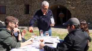 Un instant de l'esmorzar entre vinyes celebrat al celler Martín Faixó de Cadaqués