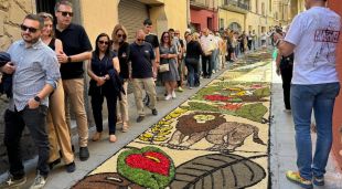 La catifa del carrer Major