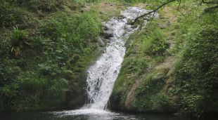 Un salt d'aigua a les Planes d'Hostoles