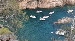 Diverses barques d'esbarjo fondejades a la cala del Cau de Palafrugell (arxiu)