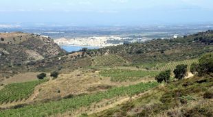 La finca de Mas Marès de Roses que gestiona el celler Espelt en ple parc natural