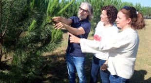La directora general de Boscos i els responsables de Forestal Catalana, mirant alguns dels pins al bosc de Riells i Viabrea