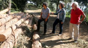 L'enginyera forestal, la directora general de Boscos i el regidor de Les Preses, al costat d'alguns pins morts per la sequera que ja s'han talat