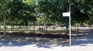 Pla general del parc Jordi Vilamitjana de Girona