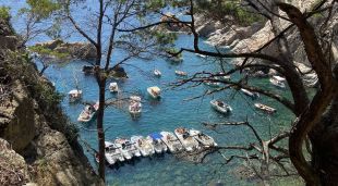 Cala del Cau a Palafrugell, aquest passat cap de setmana
