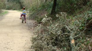 vegetació, amer, carril bici, Vies Verdes, temporal