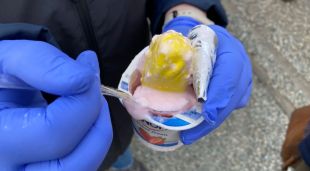 Imatge d'un iogurt amb heroïna amagada a dintre