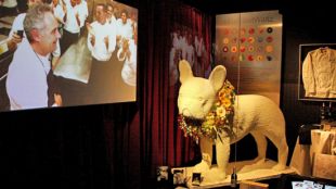bulli, merenga, exposició