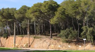 Els terrenys on està previst edificar-hi l'Hotel Aigua Xelida