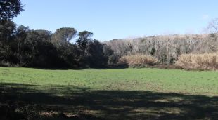 Parcel·la de Lloret de Mar on es projecta un heliport