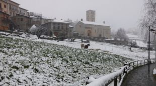 El poble de Molló, al nord del Ripollès, nevat