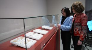 Restes dels enterraments de nadons ibers d’Ullastret al Museu d'Arqueologia de Catalunya