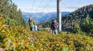 Voluntaris recollint brossa en una imatge d'arxiu de Port Ainé