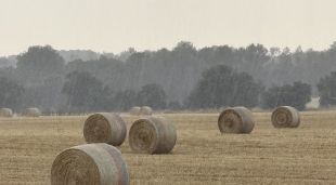 La tempesta en un camp de conreu de Navata, aquesta tarda