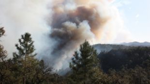 incendi, santa, crisinta, daro