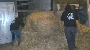 La protesta, a Figueres