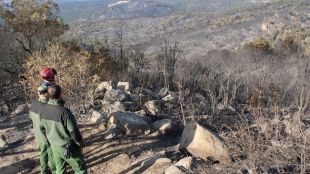 incendi, santa, cristina, daro