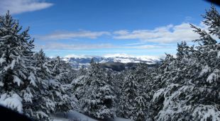 El Pirineu vist des de la Collada de Toses, ahir al migdia