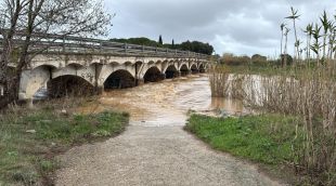 El riu Manol al seu pas per Figueres