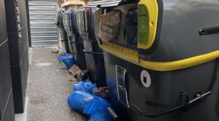 Contenidors plens de brossa a Girona, ahir diumenge