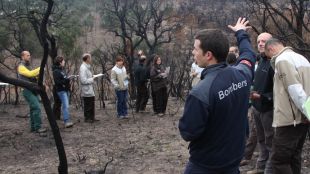 ardenya, franges, incendi, Llagostera