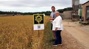 Martí Canadell i Brigitte Garolera al costat d'un camp de blat a Esponellà