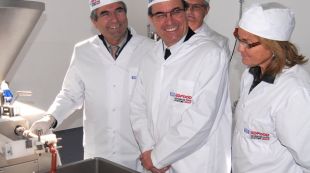 roser, mas, empresa