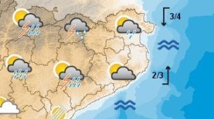 predicció, temps, flors