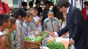 puigdemont, mercat, escoles