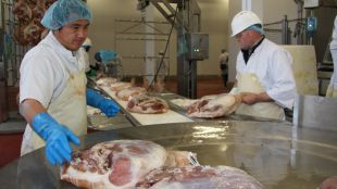 càrnia, fàbrica,