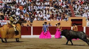 ceret, toros, torero, braus