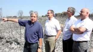 alcalde, anvinyonet, incendi, jonquera