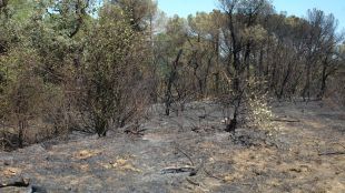 incendi, cruïlles