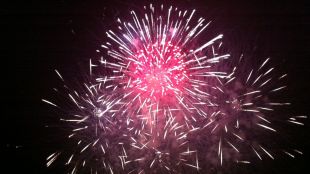 focs, blanes, vaccalluzzo