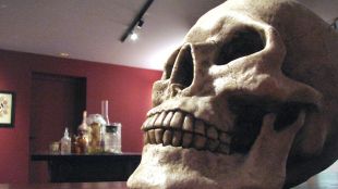 calavera, bruixeria