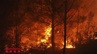 incenci, ger, cerdanya