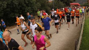 cursa, cantallops, incendi