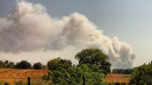 incendi, madremanya