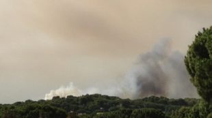 incendi, escala, molí