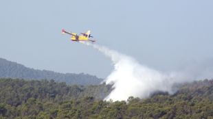 madremanya, incendi